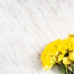 Garden fresh daffodils on marble table