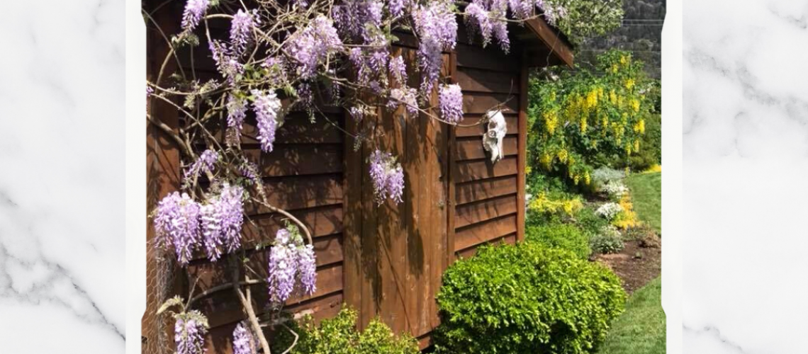 Live Simple Solutions-Wisteria